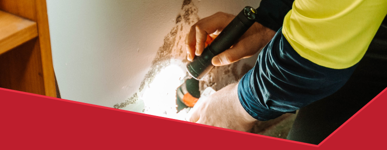 Our inspections include: